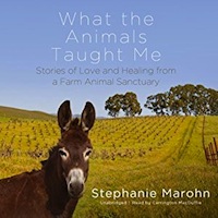 audiobook